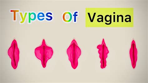 are vaginas attractive|No “Typical” Vulvas: Appearance and Dimensions Vary Widely